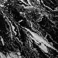 Black Silver Veil